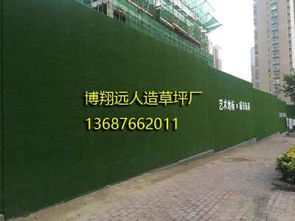 資興 醫院仿真草坪 新聞