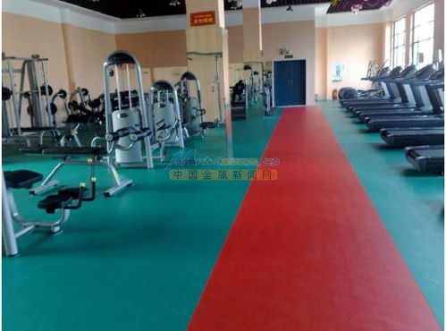 萊蕪塑膠地板 地坪 人造草坪 自流坪水泥就選山東成海裝飾