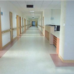 門診用pvc塑膠地板批發 門診用pvc塑膠地板批發價格 門診用pvc塑膠地板批發廠家